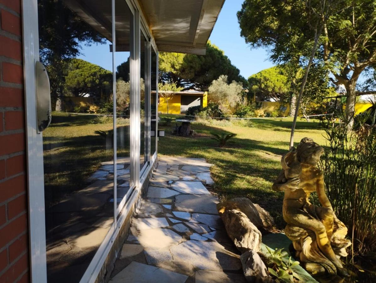 Ferienwohnung Jacaranda Cádiz Exterior foto